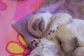 miot D