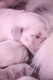 Badenova miot G