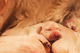 Badenova miot H