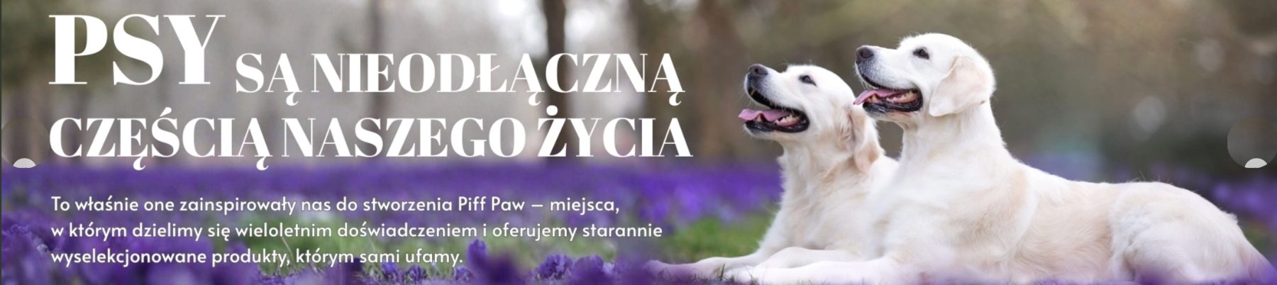 Badenova FCI